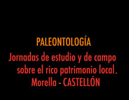 PALEONTOLOGíA. Jornadas Sociedad Española de Paleontología. Morella. CASTELLÓN