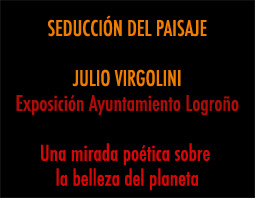 Seducci�n del paisaje. Julio Virgolini. Una po�tica mirada sobre la belleza del planeta. Ayuntamiento de Logro�o.Logro�o. La Rioja